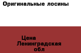 Оригинальные лосины Dzeta › Цена ­ 2 490 - Ленинградская обл., Санкт-Петербург г. Спортивные и туристические товары » Другое   . Ленинградская обл.,Санкт-Петербург г.